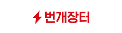 번개장터 로고